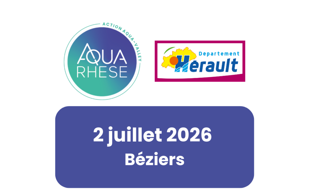 Gestion patrimoniale des réseaux d’eau potable : connaissance patrimoniale, rendement et pilotage des réseaux
